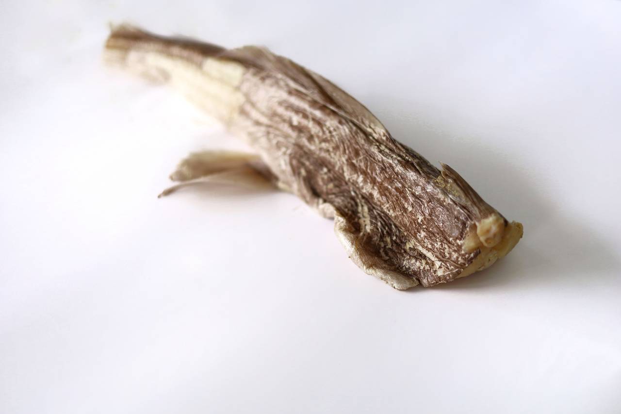 Акула Привид (без голови) Акула "Привид" без голови, патрана 1