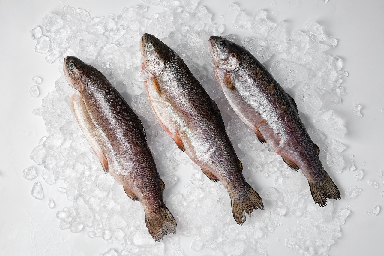 форель річкова охолоджена Форель Райдужна свіжоморожена, чищена (200–600грам) 1