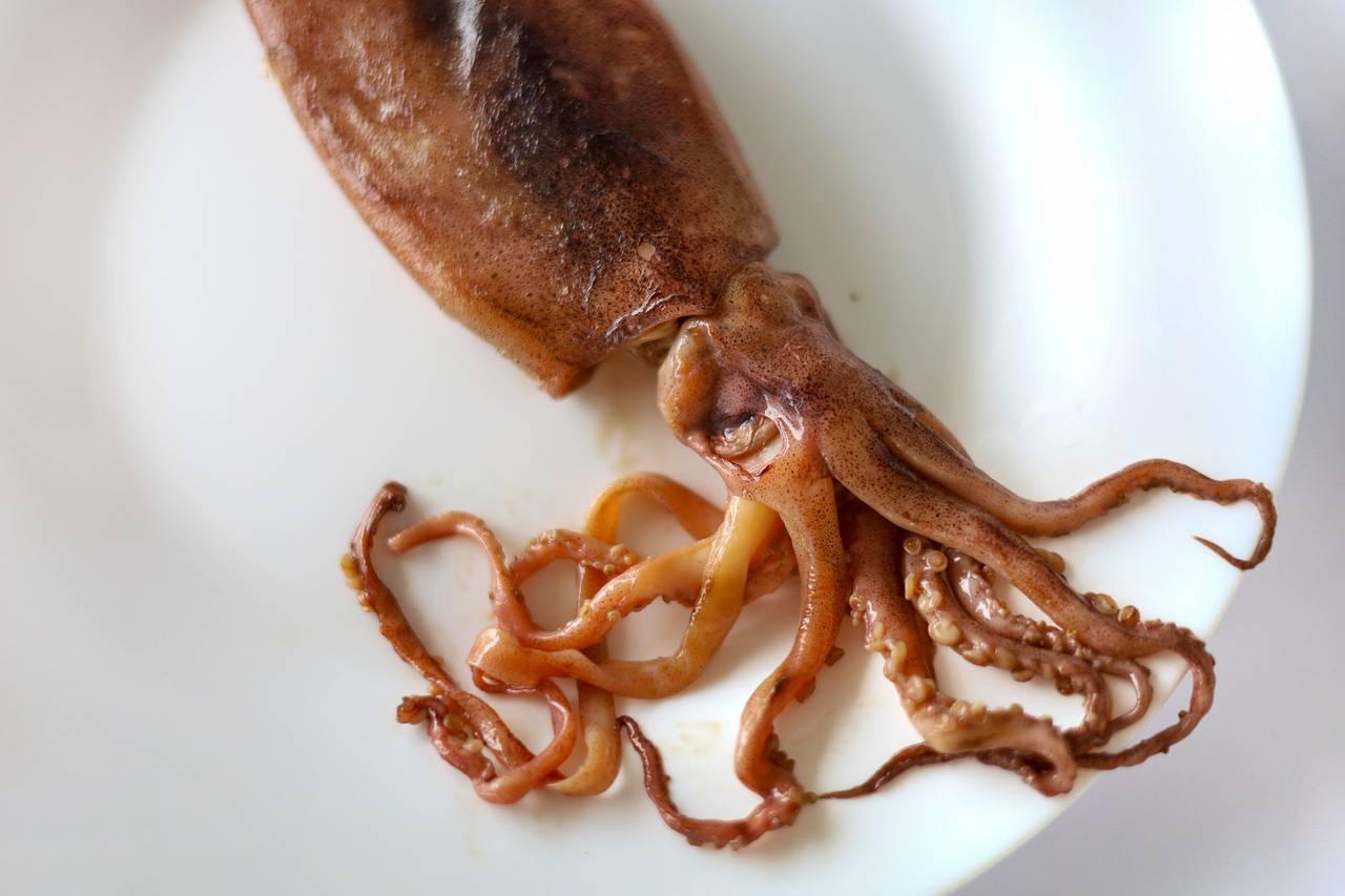 Кальмар цілий свіжозаморожений Кальмар цілий свіжоморожений (200–400грам) 1