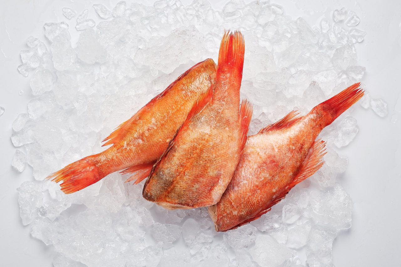 окунь морський заморожений(1) Окунь морський свіжоморожений 1