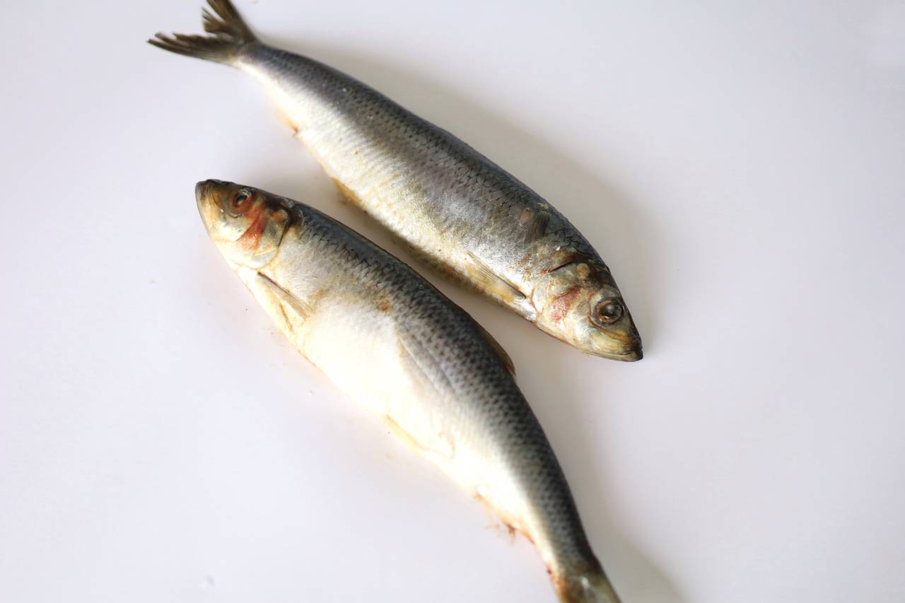 Оселедець свіжоморожений Оселедець свіжоморожений 1