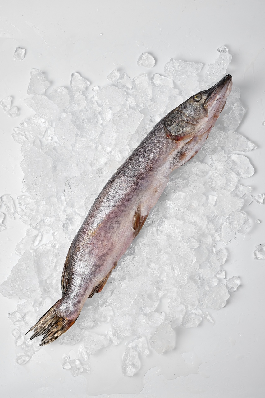 щука морожена Щука з головою, вагова (1000–4000грам) 1