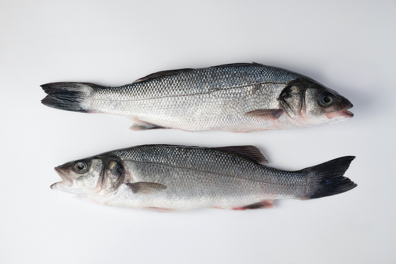 сібас охолоджений Сібас морожений патраний (300-400грам) 1