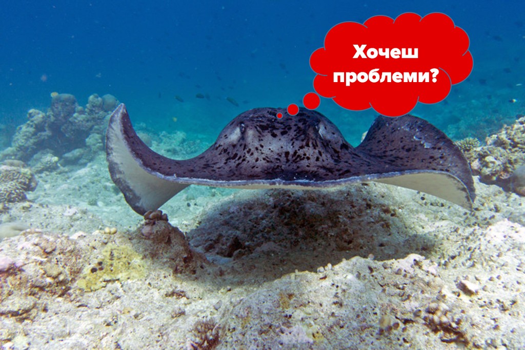 5-ка найбільш отруйних риб 6