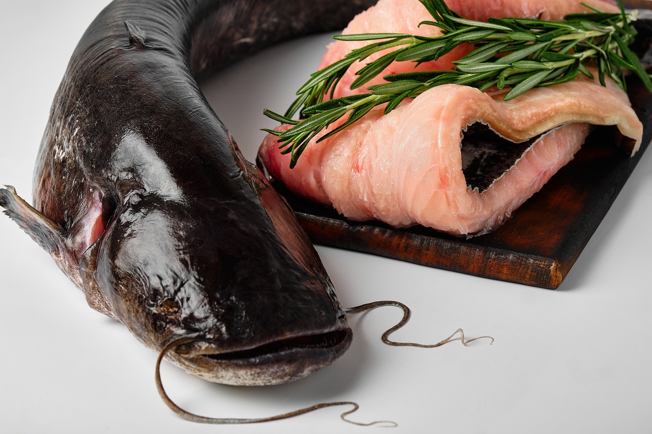 сом ставковий Сом з головою, суха заморозка (1000–3000грам) 1