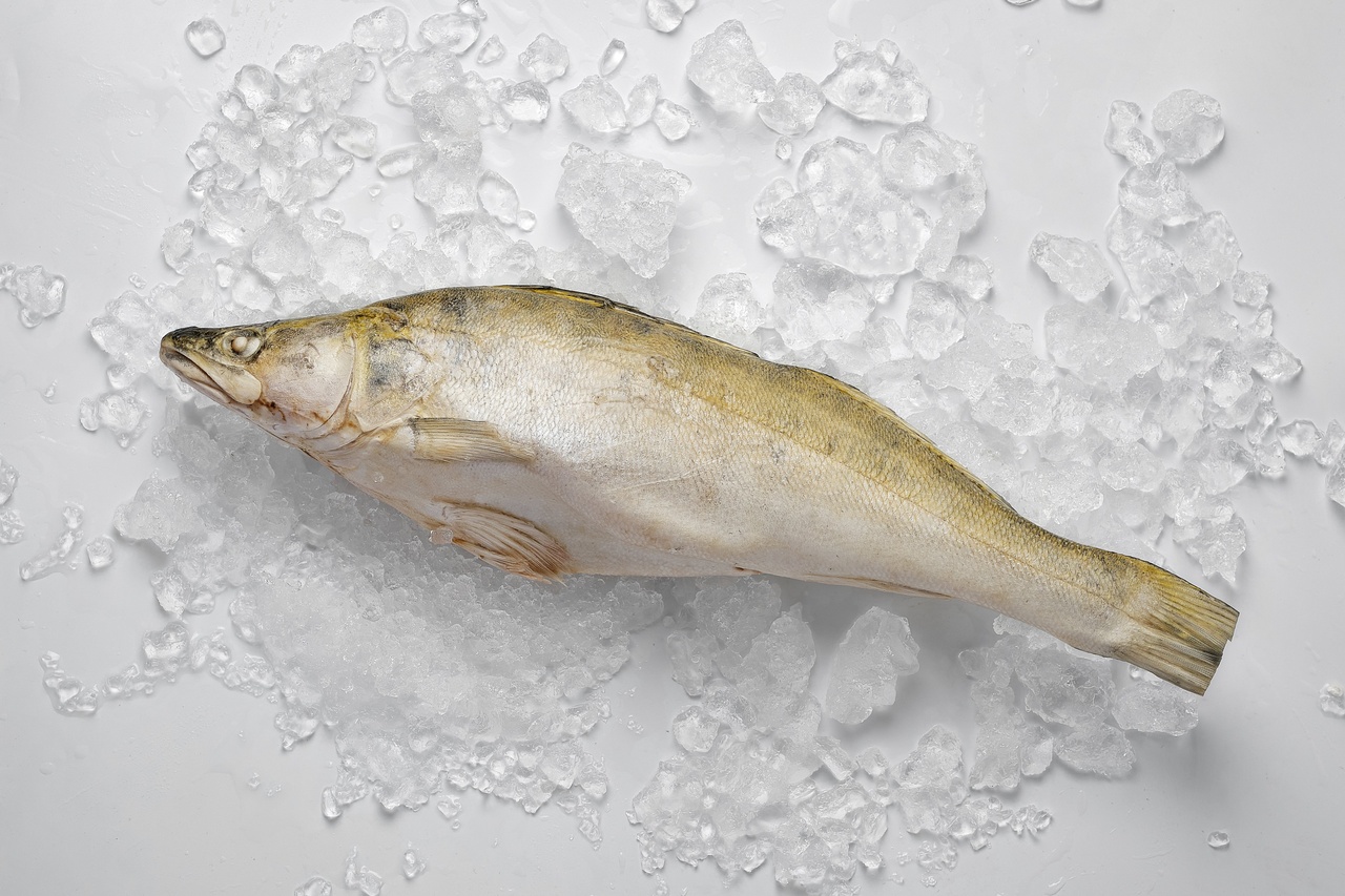 судак морожений Судак з головою, суха заморозка (1000–2000грам) 1