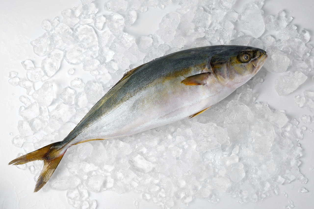 тунець жовтохвіст морожений Жовтохвіст свіжоморожений 1