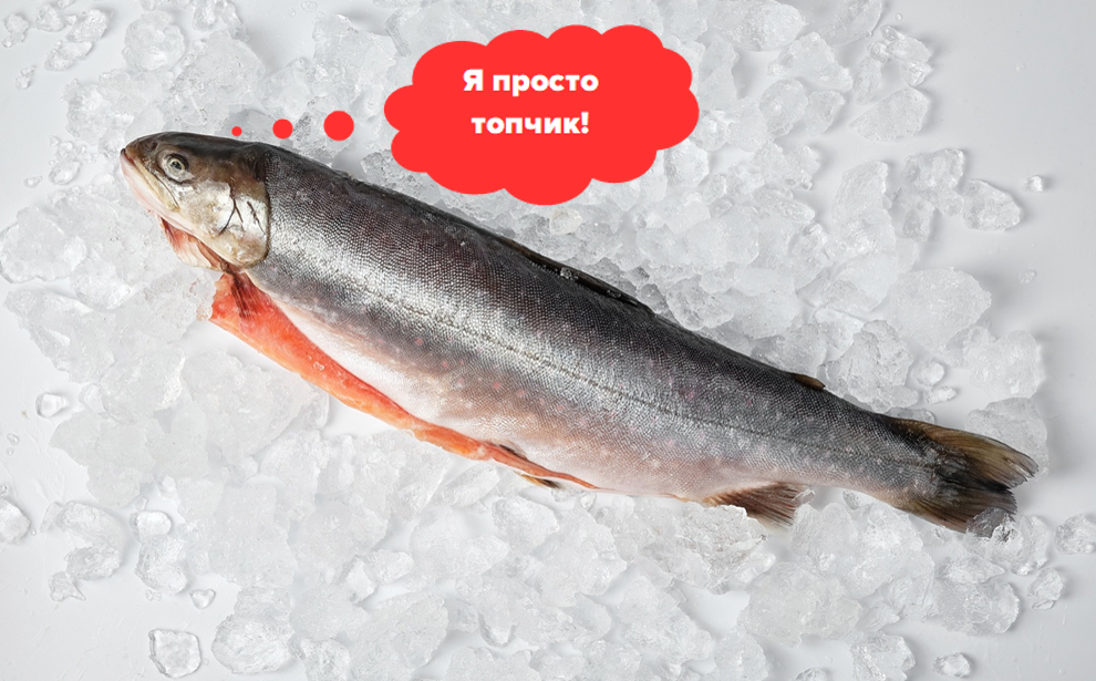 Топ 3 риби за вмістом Омега-3 5