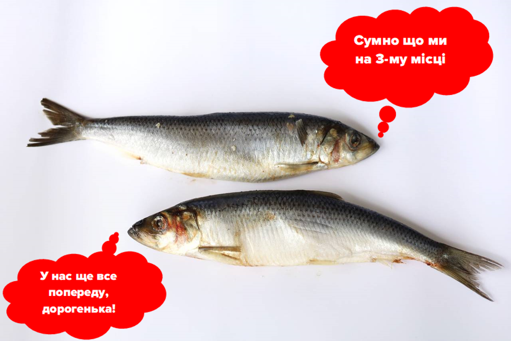 Топ 3 риби за вмістом Омега-3 3