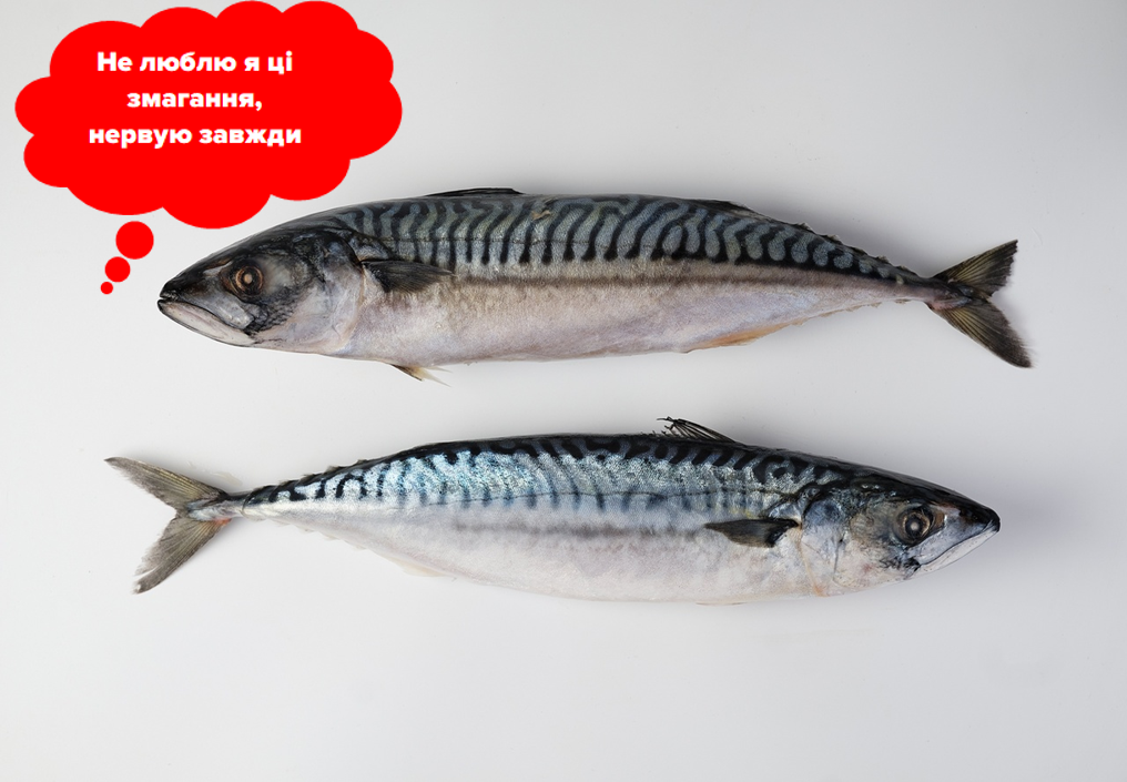 Топ 3 риби за вмістом Омега-3 4