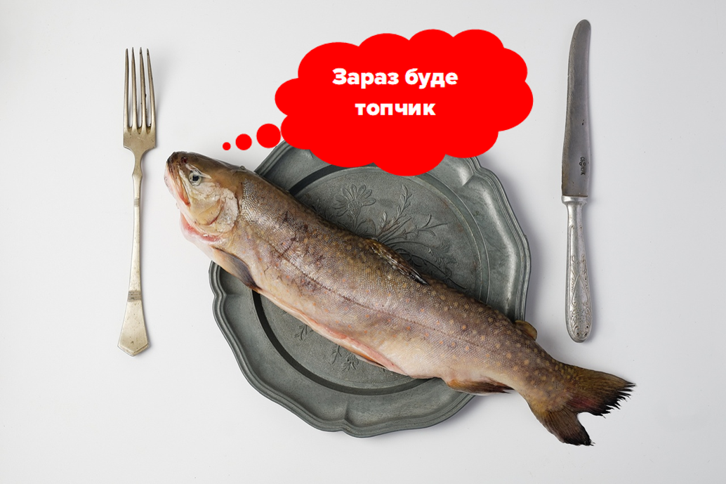 Топ 3 риби за вмістом Омега-3 2